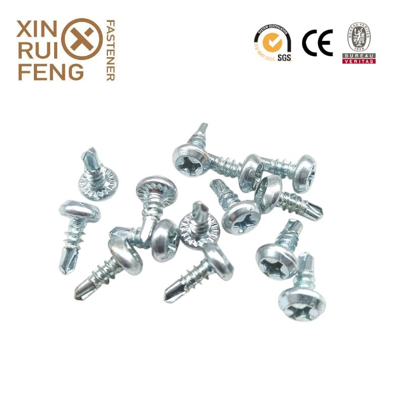 Export Chinese Phillips No.2 Fillister Pan Framing Head Self Drilling Screw4